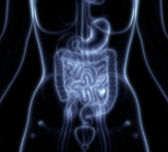 קפסולה אנדוסקופית במקום קולונוסקופיה-תמונה